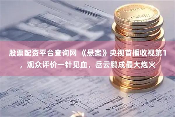 股票配资平台查询网 《悬案》央视首播收视第1，观众评价一针见血，岳云鹏成最大炮火
