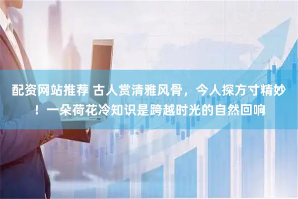 配资网站推荐 古人赏清雅风骨，今人探方寸精妙！一朵荷花冷知识是跨越时光的自然回响